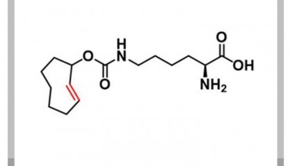 N-(2E)-TCO-L-lysine，1580501-94-5，TCO点击试剂的化学性质介绍