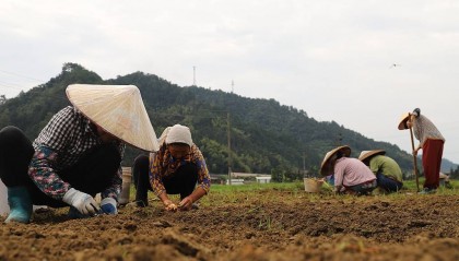 老农保29年后仅退200本金?社保公信力不能被破坏