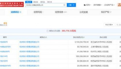 张小泉集团及法人等被执行31.3亿，已被限制高消费