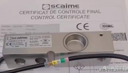 S30X2500 C3 CH 6e传感器 法国Scaime品牌