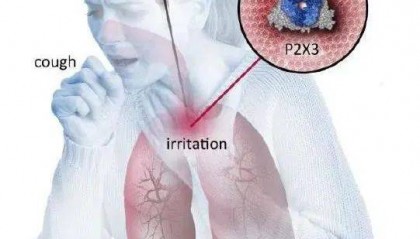 【AmBeed简析】P2X受体激活机制与靶向P2X受体抑制剂
