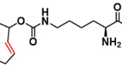 (2E)-TCO-L-lysine|1580501-94-5|(2E)-反式环辛烯-PNB酯的特点