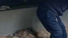 女子购买带院新房后挖出尸骨，物业：警方告知，挖出的人体骨头已经有20年了