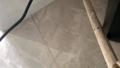 广州一小区2年抓到超60条蛇？业主：家里来过两三条，有条还钻进鞋子里