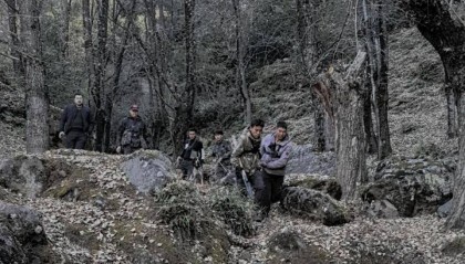 揭秘“野猪猎捕队”丨海拔3000米高山密林，记者跟队直击猎捕野猪全过程