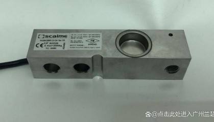 荷重传感器SK30X 500 C3 CH 10e TR 法国Scaime