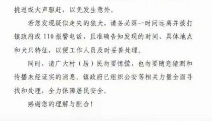 陕西一镇上有狼外逃？当地回应：是狼犬，已击毙21只，还有一两只在逃