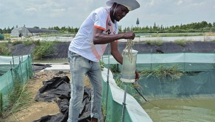 江苏苏州:非洲留学生:我要把苏州经验带回家