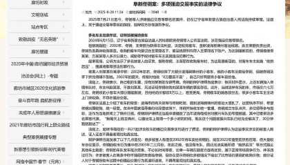 阜新佟钢案:多项强迫交易事实的法律争议