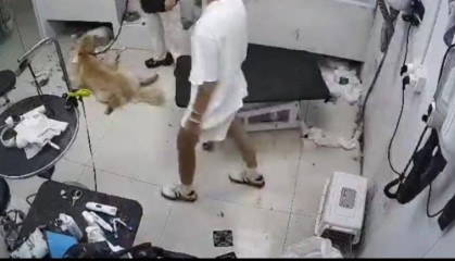 合肥一只金毛犬在宠物店洗澡后死亡，涉事店家已关门并拆掉招牌，主人：已提交诉状