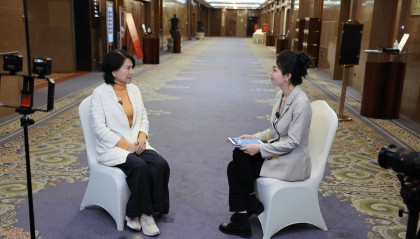 对话全国人大代表董明珠：像治理酒驾一样治网暴