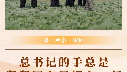 第一观察·瞬间 | 总书记的手总是紧紧同人民握在一起