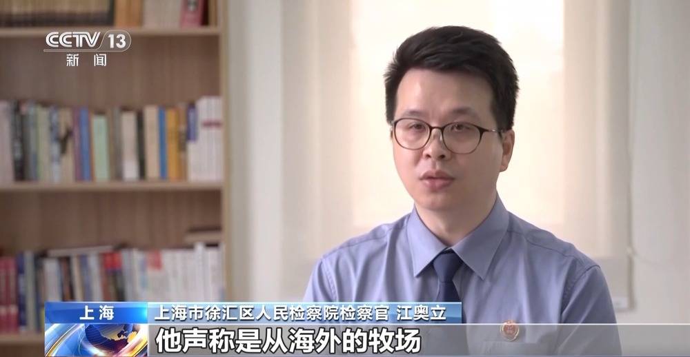 法治在线丨12万人被骗5.6亿 起底“云养牛”骗局
