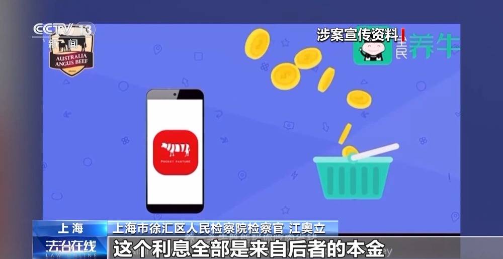 法治在线丨12万人被骗5.6亿 起底“云养牛”骗局