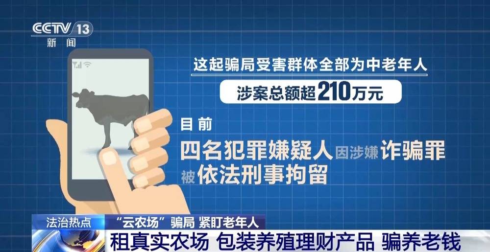 法治在线丨12万人被骗5.6亿 起底“云养牛”骗局
